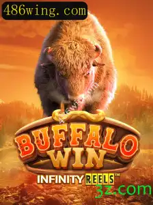 Explorando o Universo de BuffaloWin